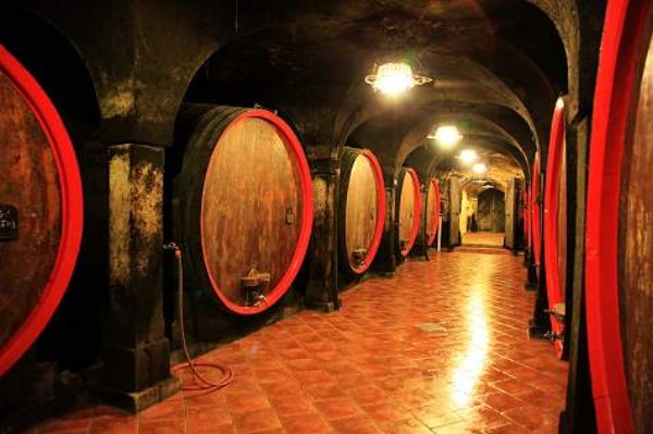 ../Images/2010-05-Krsko (74).jpg